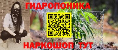 ГАЛЛЮЦИНОГЕННЫЕ ГРИБЫ Нальчик