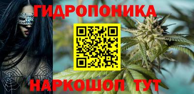ГАЛЛЮЦИНОГЕННЫЕ ГРИБЫ Нальчик
