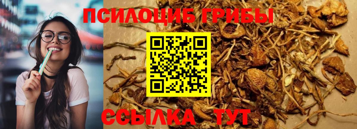 купить  сайты  Галлюциногенные грибы Cubensis  Вход с VPN  Галлюциногенные грибы прущие грибы  Выкса 